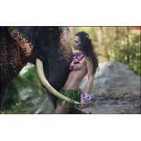 BONE ELEPHANT Â©_21-qoJAS6IqkS5cC8bOeMwcVCCX3Gv1YB77.jpg